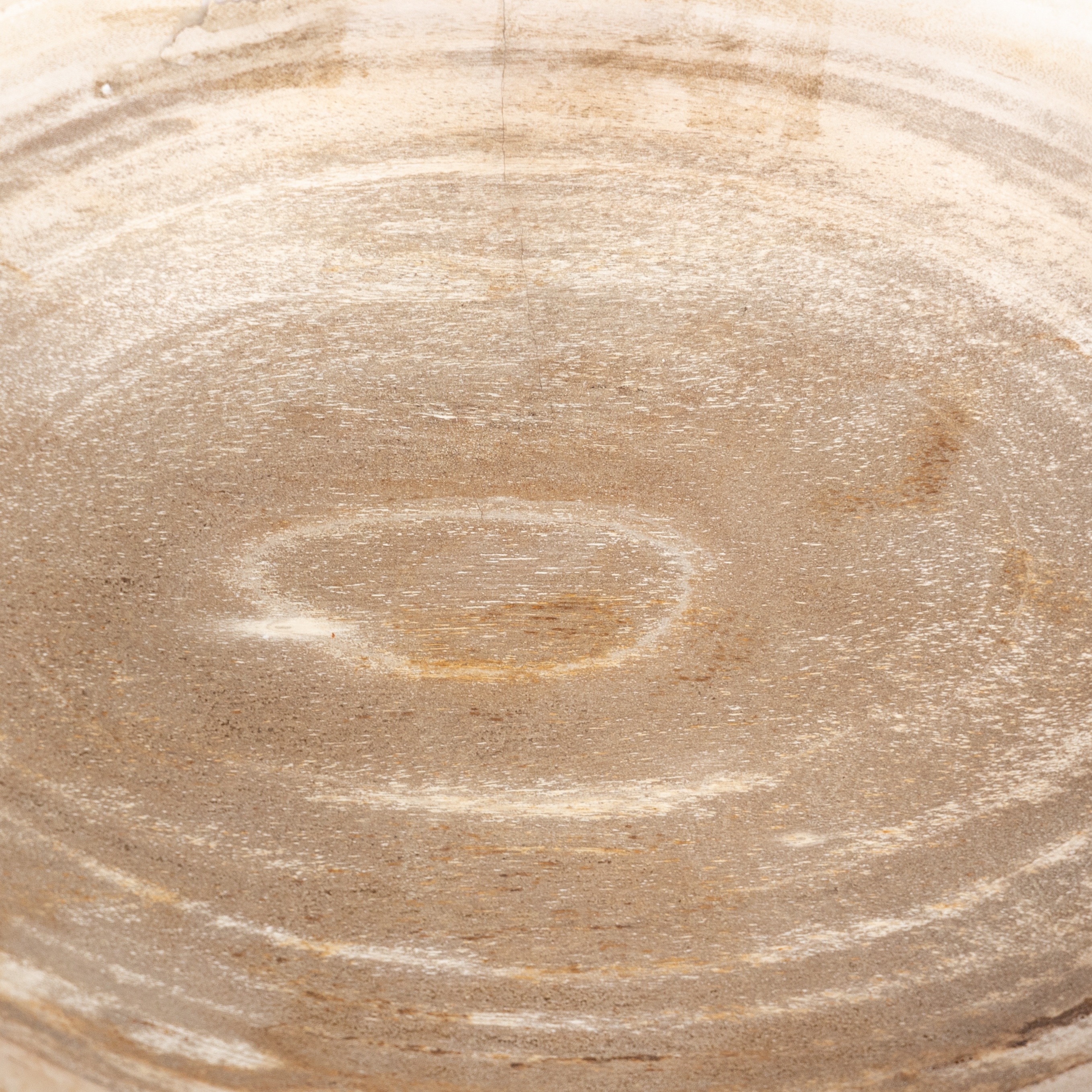 Oval Petrified Wood Bowl-Petrified Wood - Image 12
