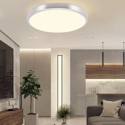 20 Inch Ceiling Lamp Silver-Stepless Dimming With Remote Control - Image 0