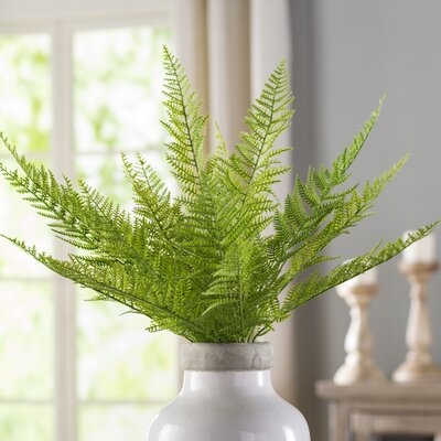 Green Asparagus Plant - Image 0