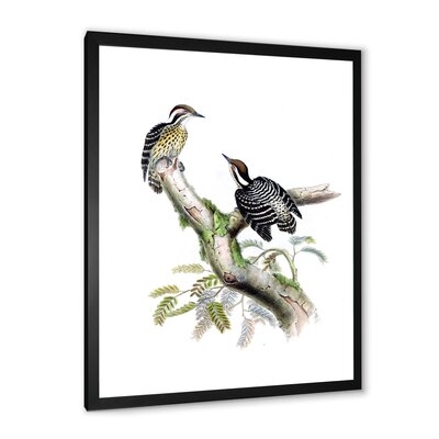 Vintage Birds In The Wild VIII - Traditional Canvas Wall Art Print-FDP35976 - Image 0