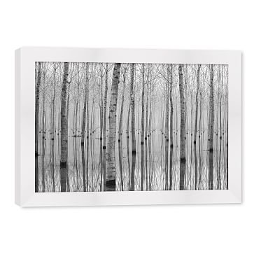 Winter Birch, Small - Image 0