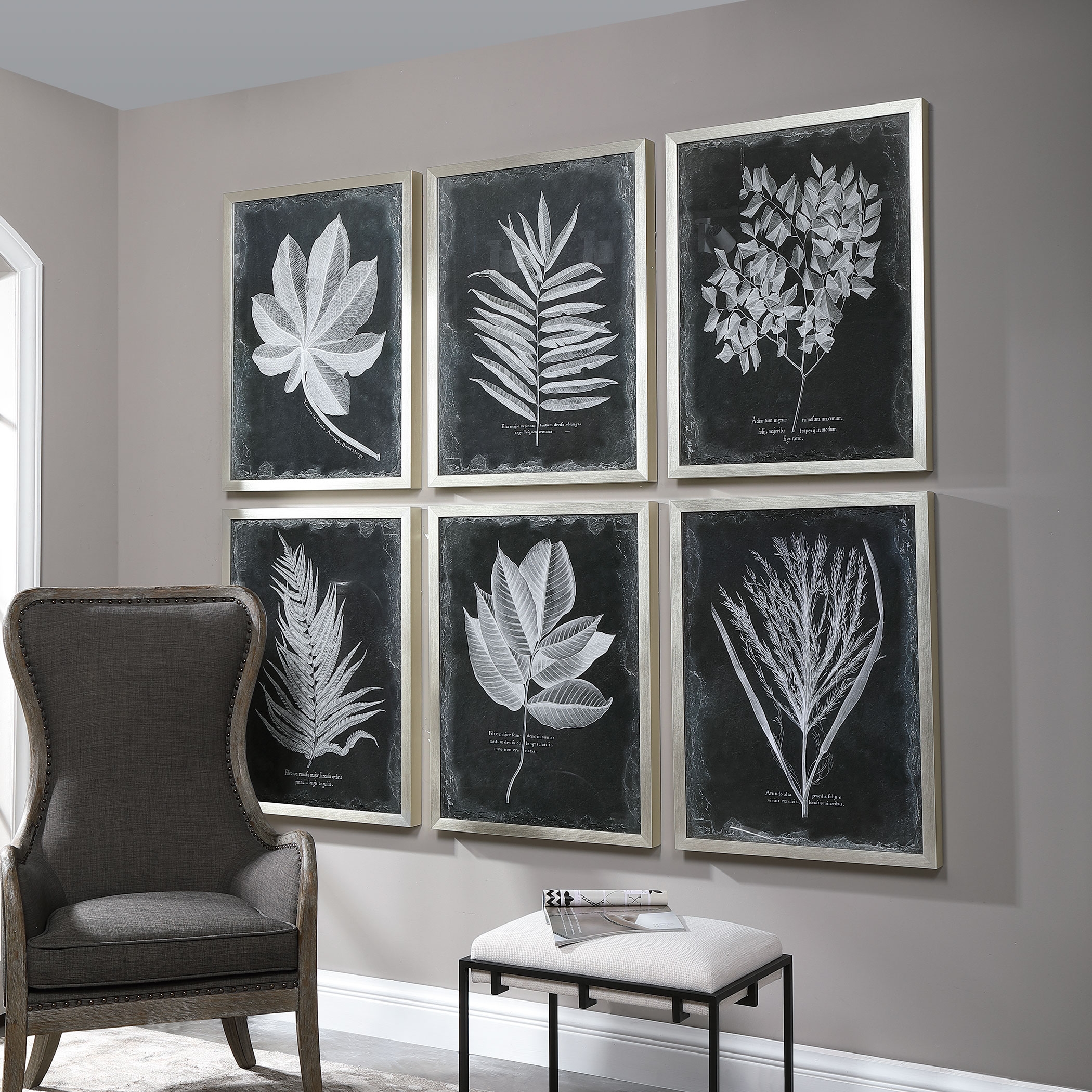 Foliage Framed Prints Set/6 - Image 2