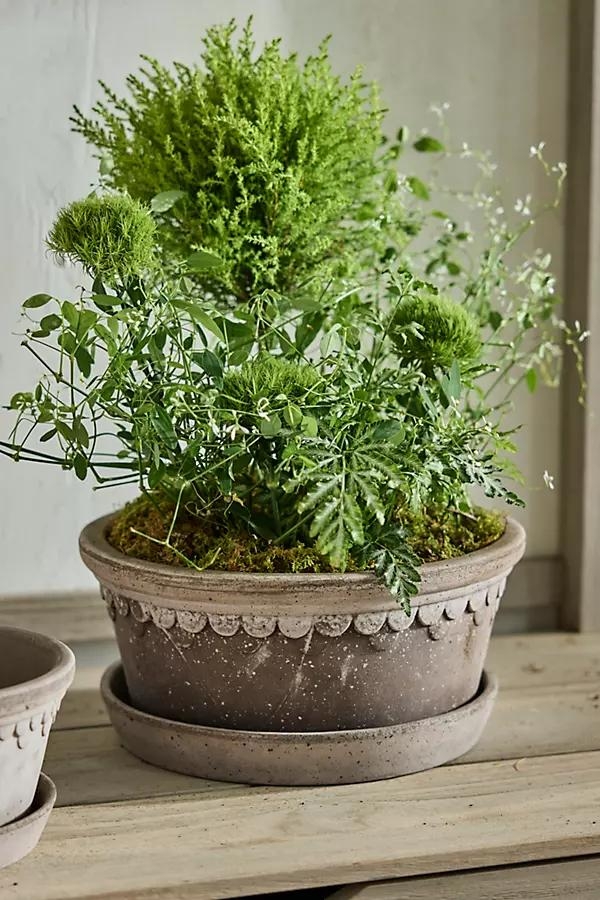 Copenhagen Terracotta Bowl + Saucer Set - Image 0