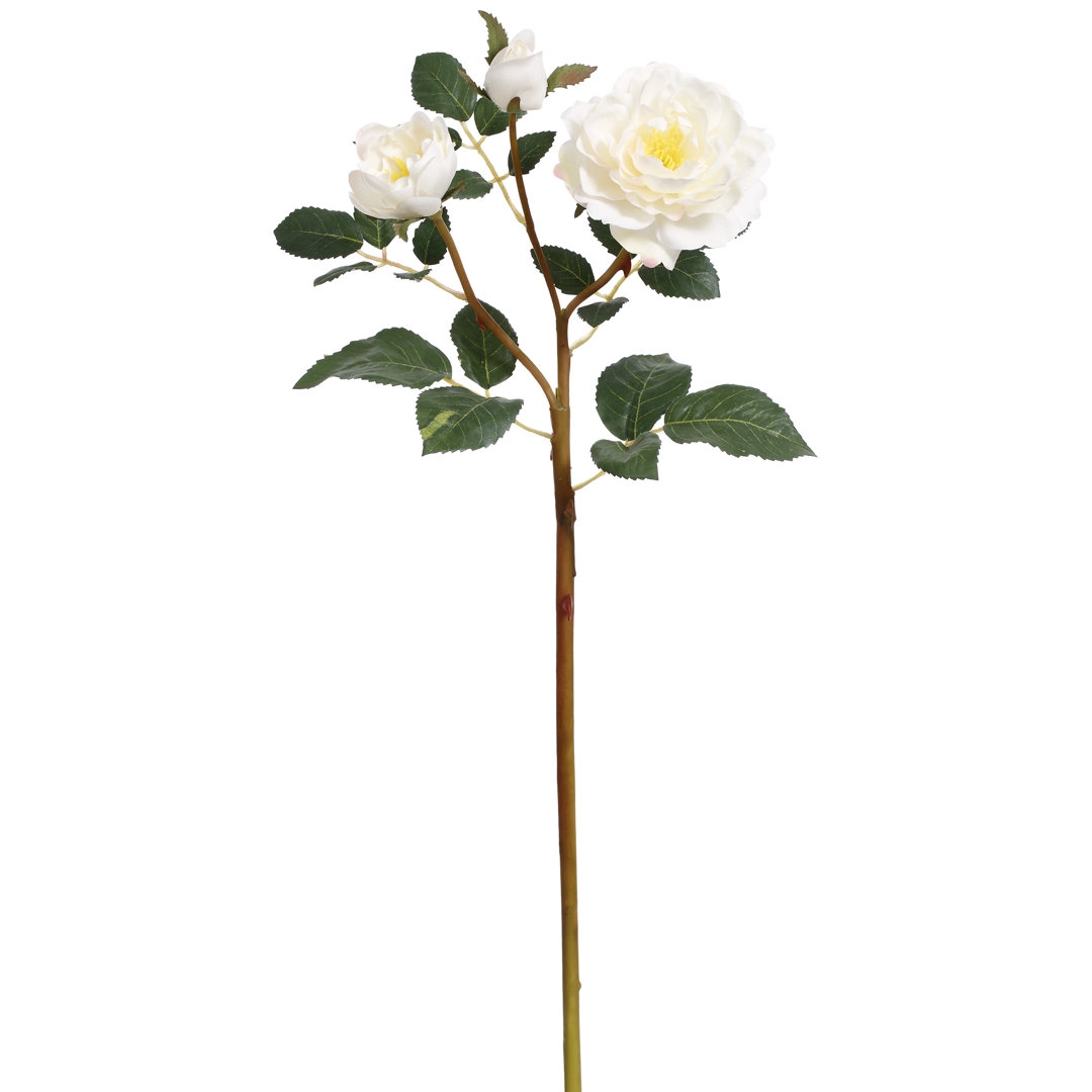 Mark Roberts Roses Stem - Image 0