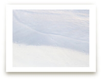 Tranquil Limited Edition Fine Art Print 2 - Image 0