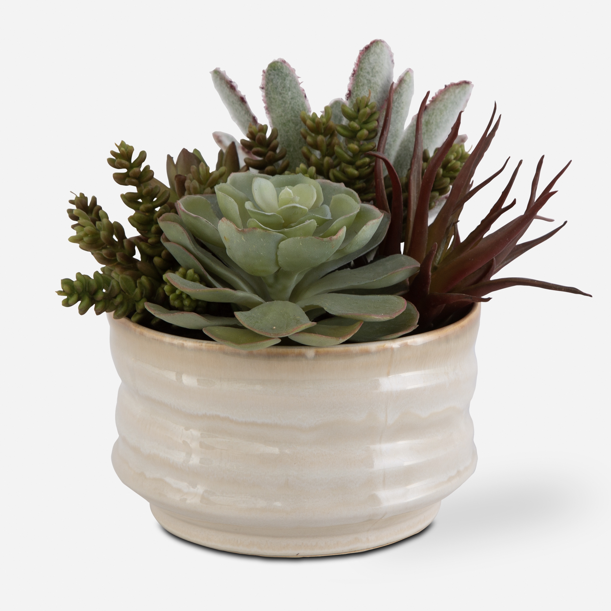 Mesa Succulent Accent - Image 0