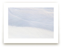 Tranquil Limited Edition Fine Art Print 2 - Image 0