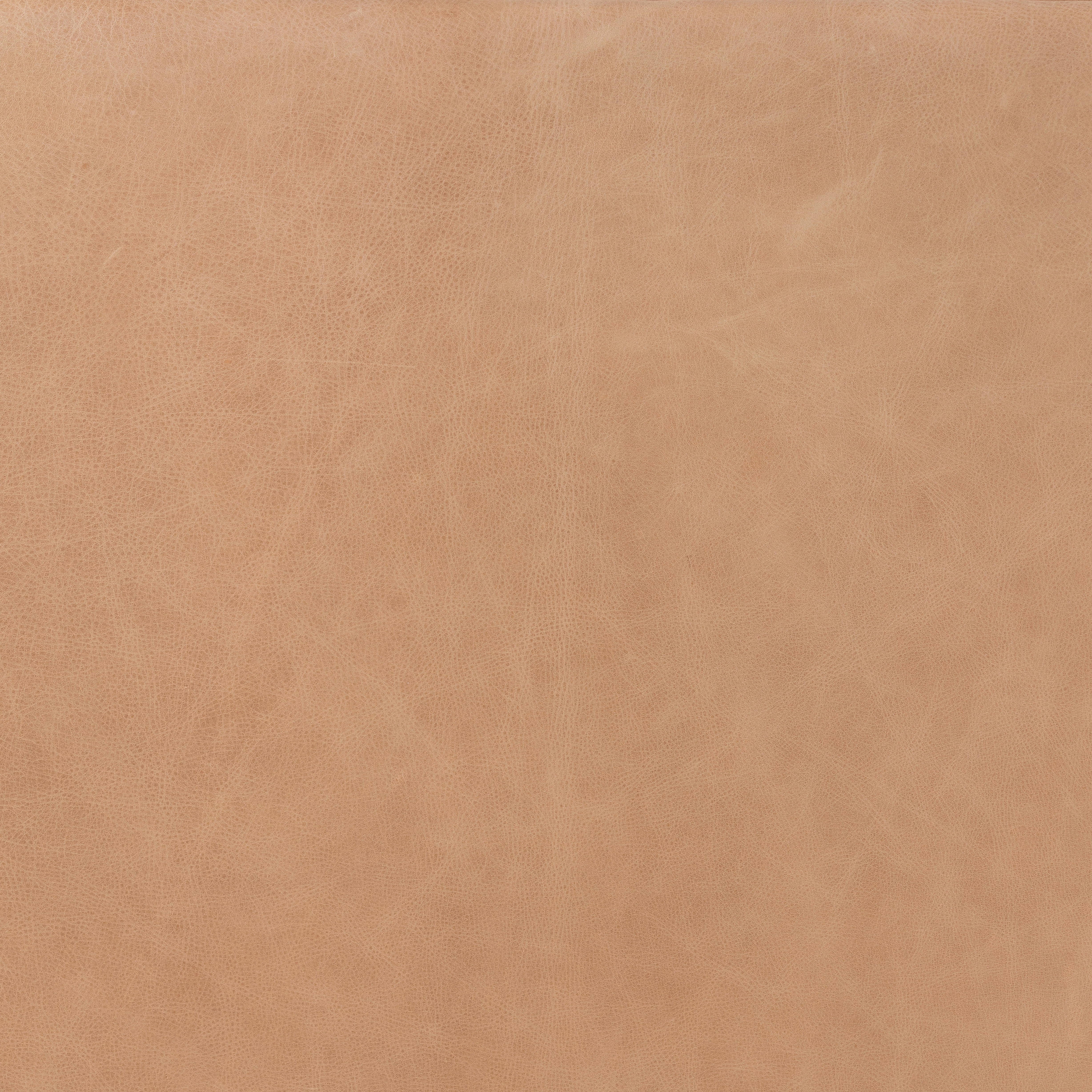 Kiera Swivel Chair - Palermo Nude - Image 11