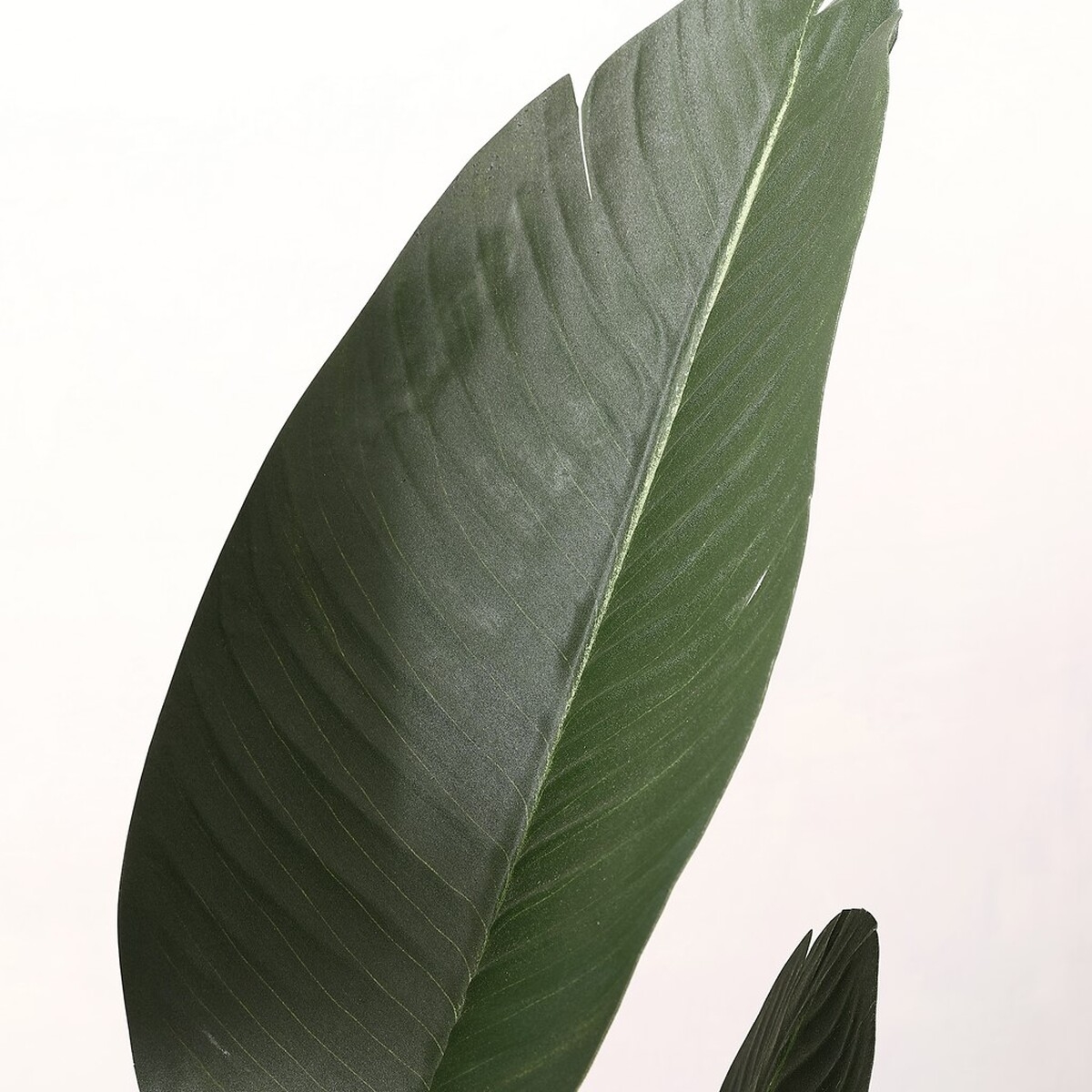 Safavieh Faux 48" Potted Gladiolus Tree - Image 2