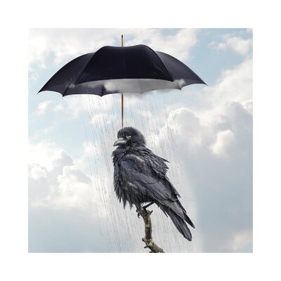 Raven II - Wrapped Canvas Graphic Art - Image 0
