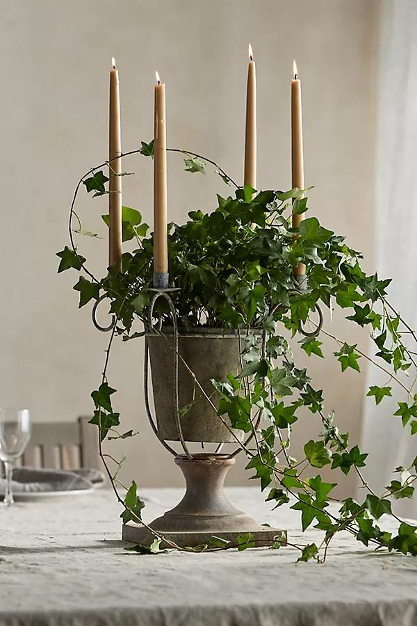 Candelabra Plant Stand - Image 0