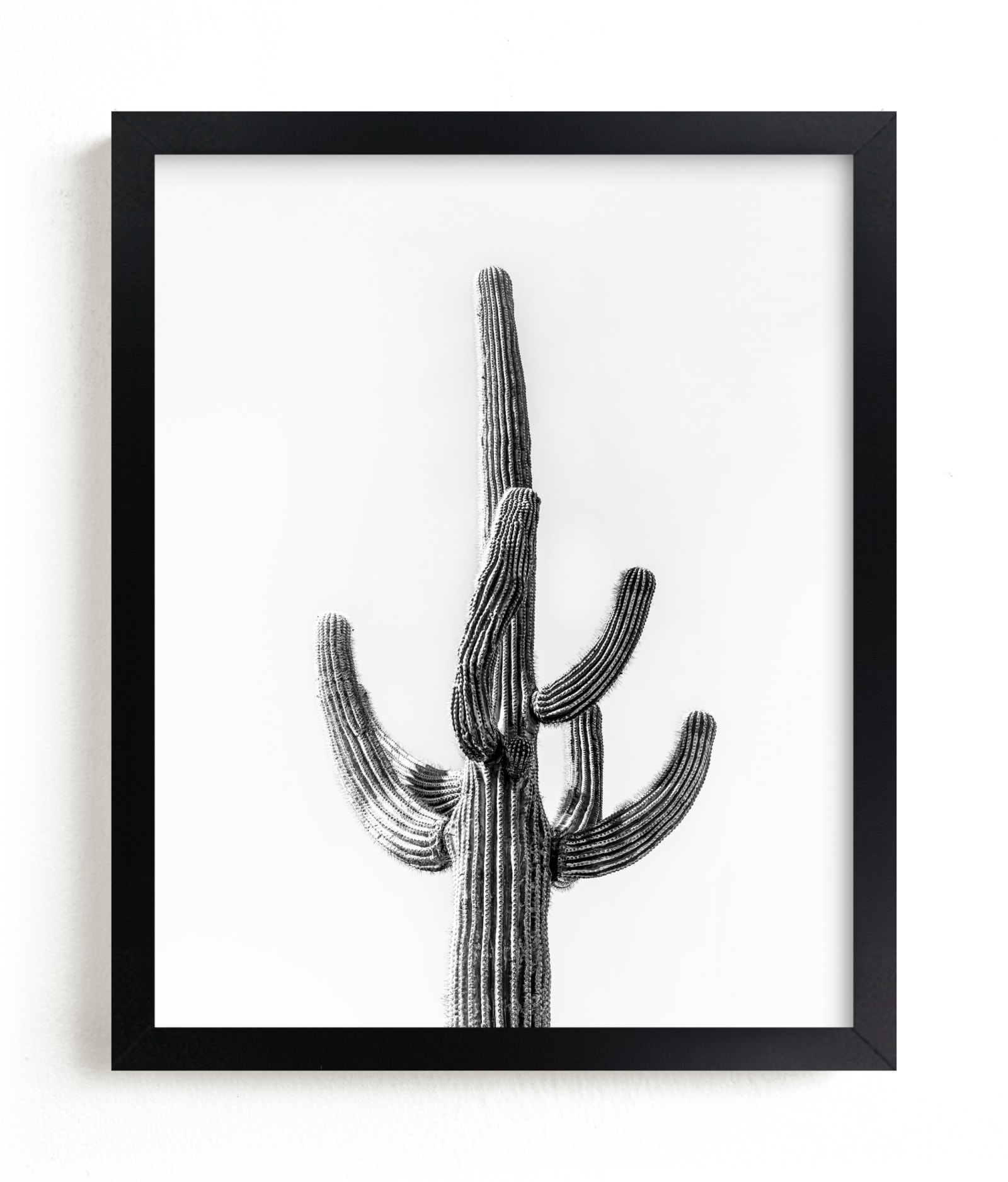Lone Cactus Limited Edition Fine Art Print 2 - Image 0