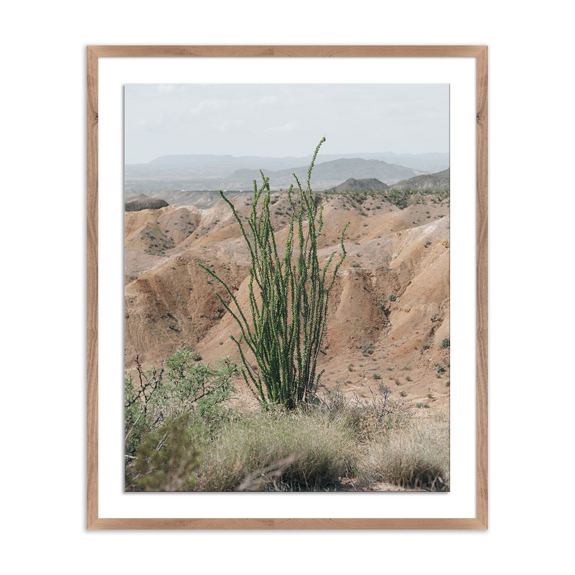 Ocotillo by Mandy Steinback - Rustic 1.5 Walnut - Image 0