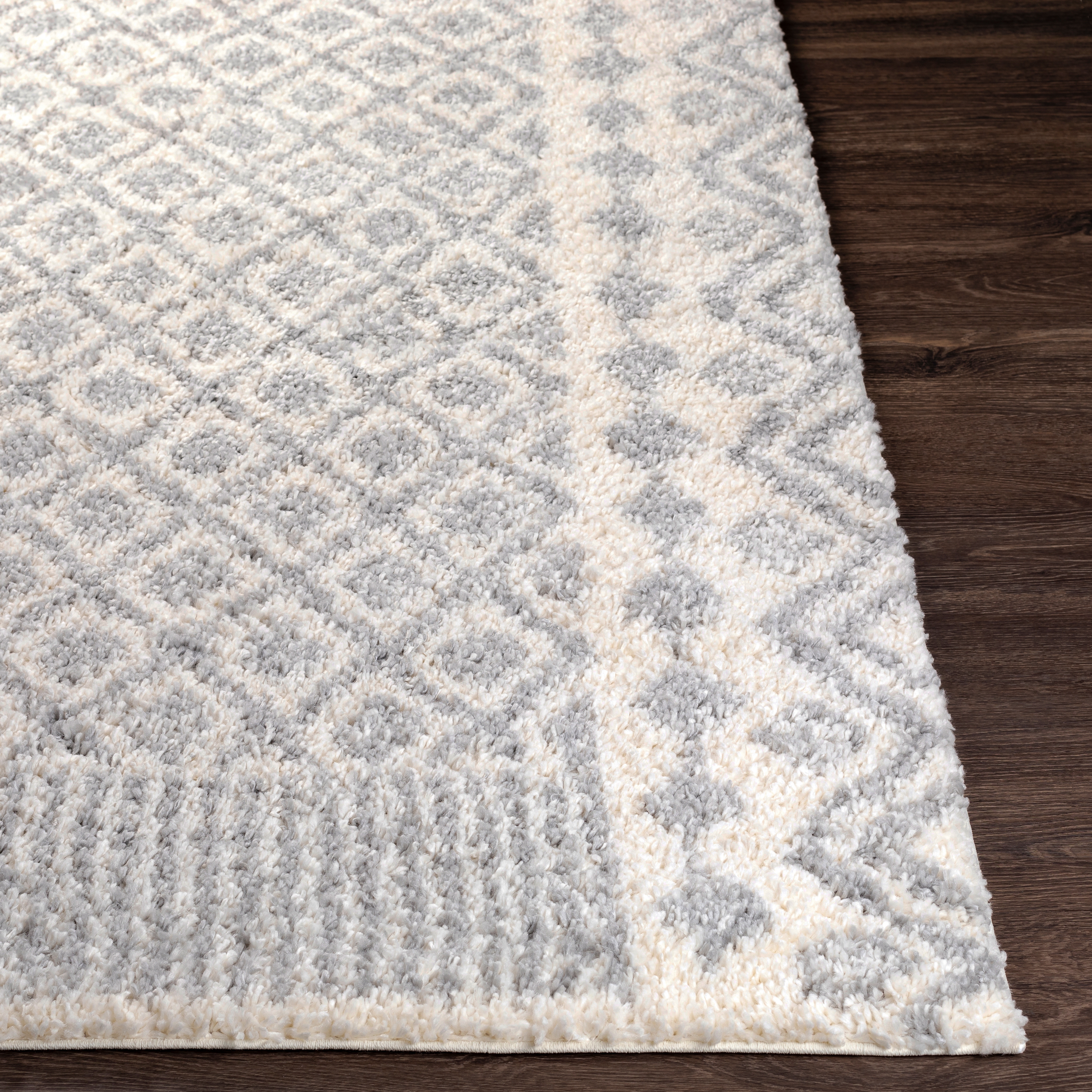 Deluxe Shag Rug, 5'3" x 7'3" - Image 2