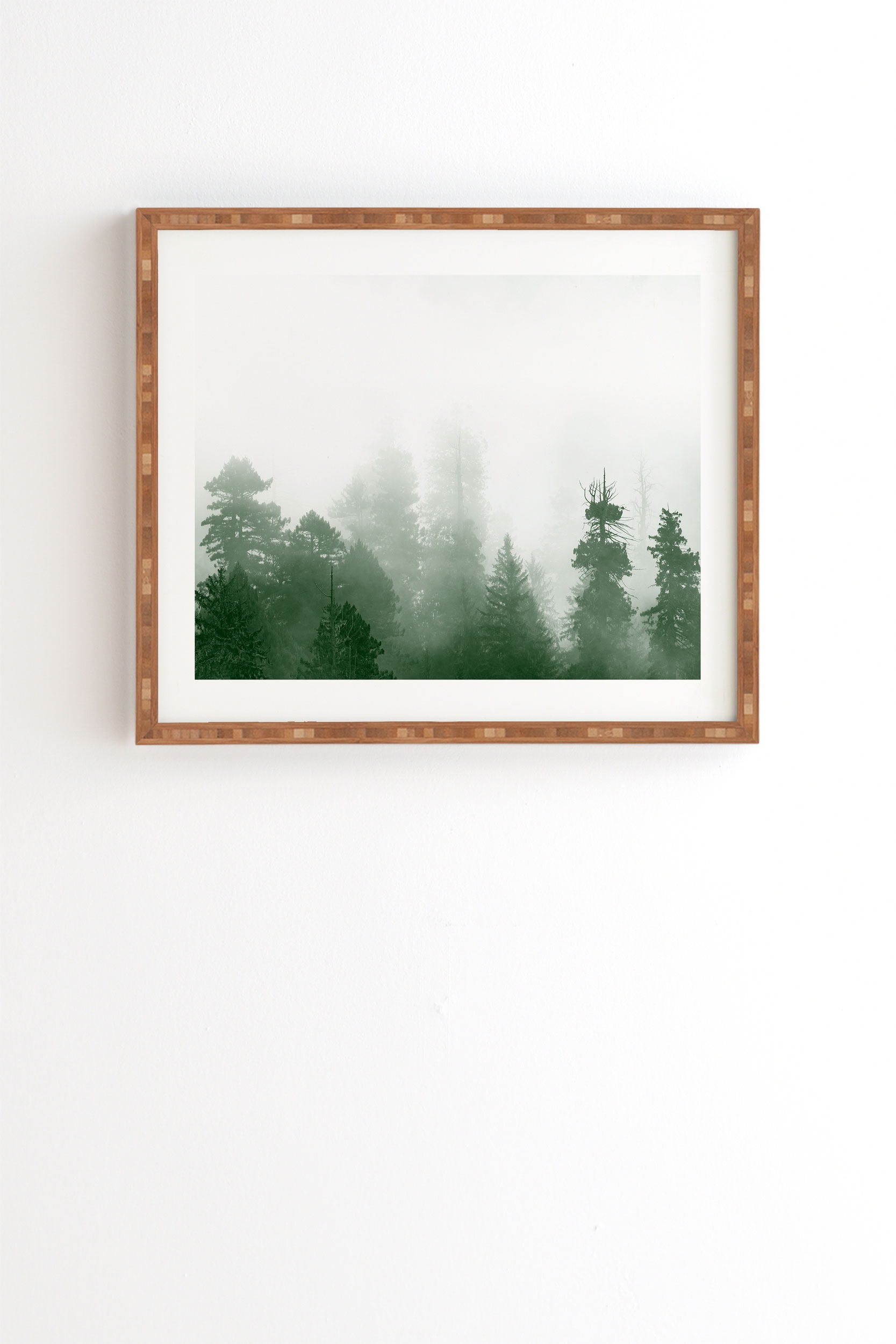 Green Forest Adventure by Nature Magick - Framed Wall Art Bamboo 30" x 30" - Image 0