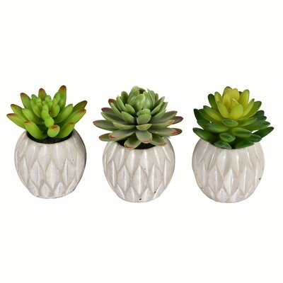 3 Artificial Succulent in Pot Set - Image 0