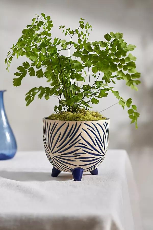 Angled Leg Ceramic Planter - Image 0