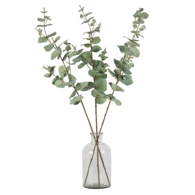 Eucalyptus Spray - Image 0