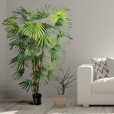 Potted Fan Palm - Image 0
