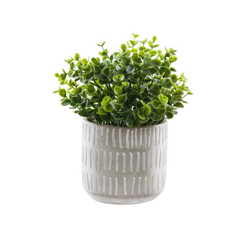 Artificial Boxwood Plant in Pot, 5" - Image 0
