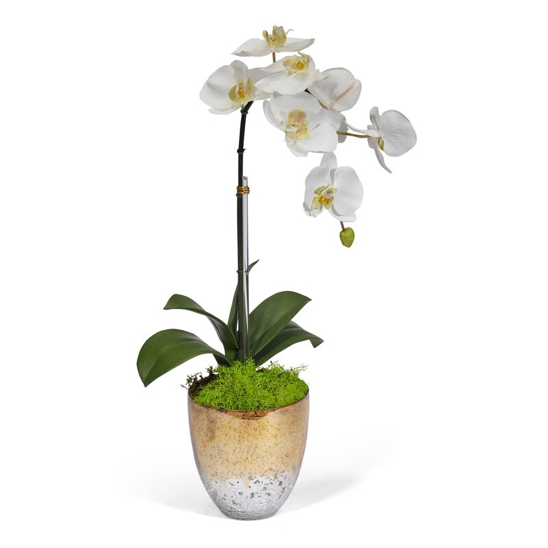 Single Faux Orchids Floral Arrangement in Vase - Image 0