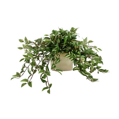Obrien Faux Tradescantia Plant