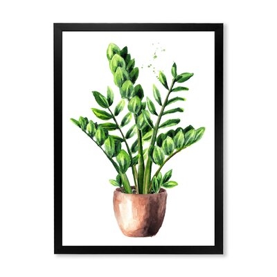 Zamioculcas Tropical Plant With Green Leaves - Traditional Canvas Wall Art Print FDP35488 - Image 0