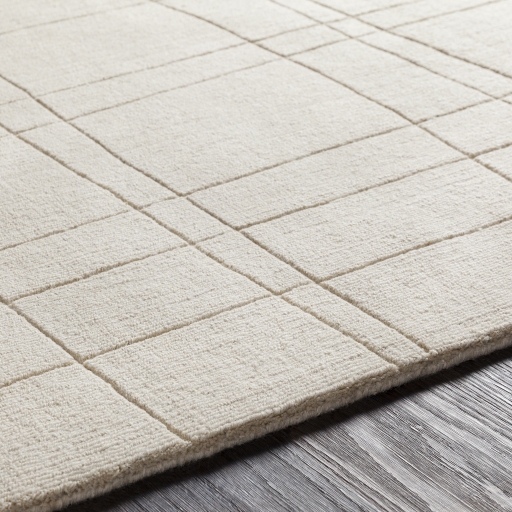 Mystique  Indoor 2' x 3' Handmade Rug - Image 2