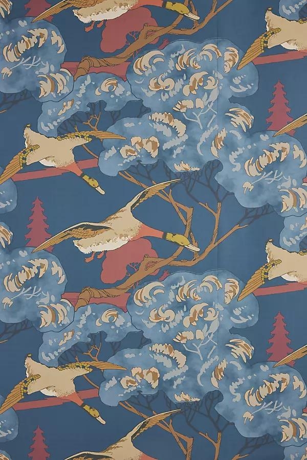 Grand Flying Ducks Animal Wallpaper - Image 0