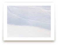 Tranquil Limited Edition Fine Art Print 2 - Image 0