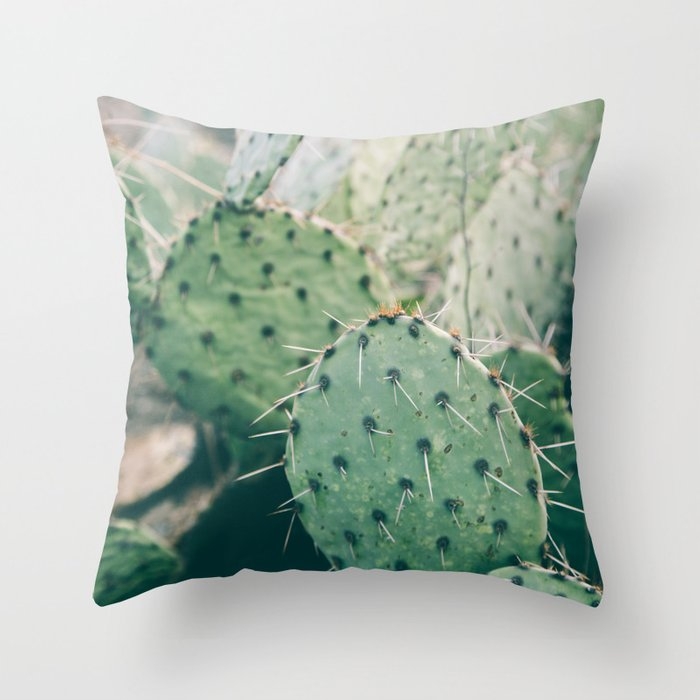 Arizona Cactus Iii Throw Pillow by Hannah Kemp - Cover (24" x 24") With Pillow Insert - Indoor Pillow - Image 0