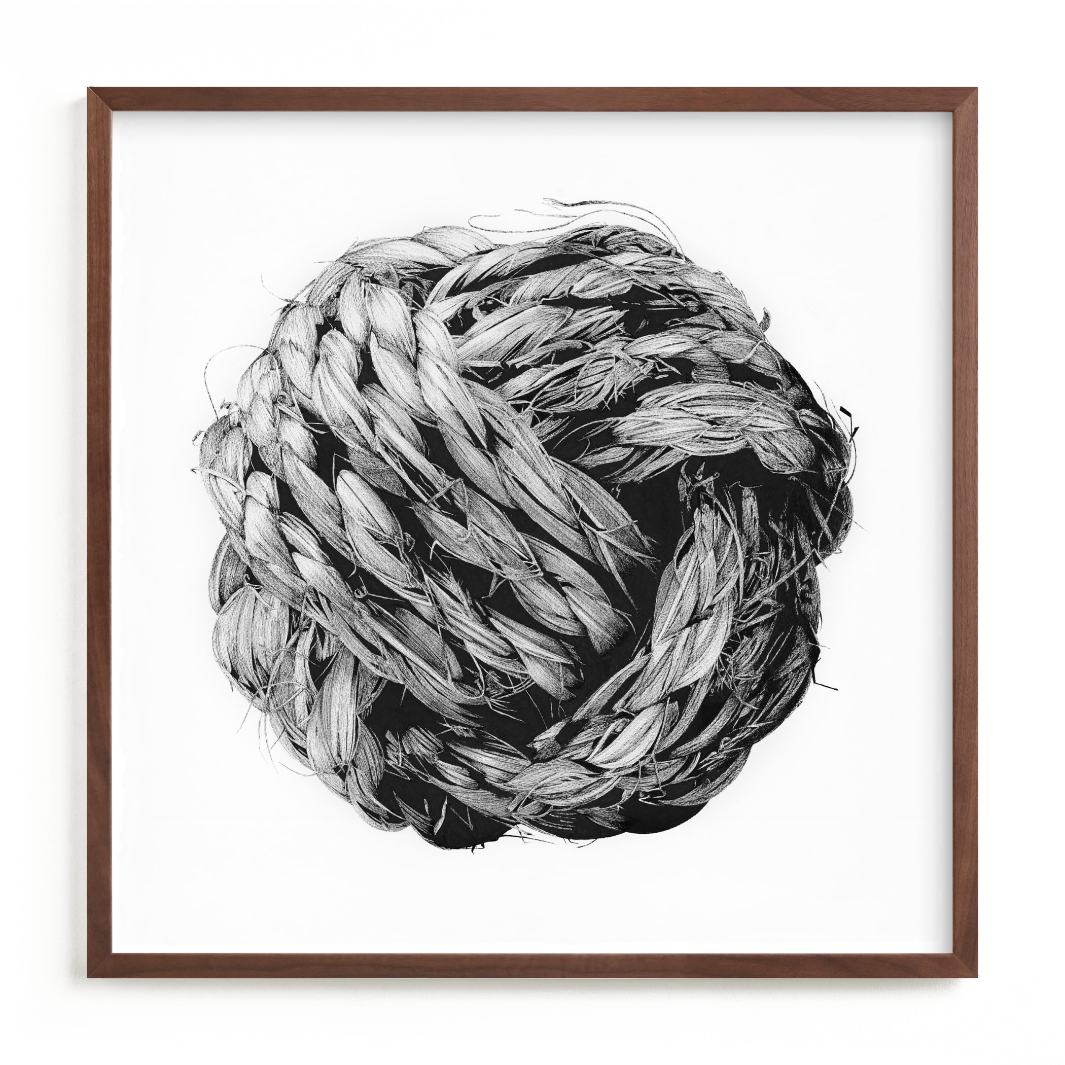 Monkey Fist Limited Edition Fine Art Print 2 - Image 0