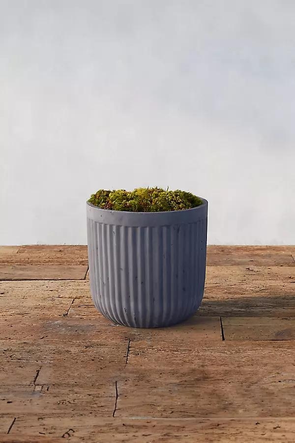 Fiber Concrete Barrel Pot, 12" - Image 0