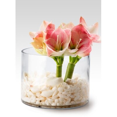 6 Piece Aizaan Clear Indoor / Outdoor Glass Table Vase Set - Image 0