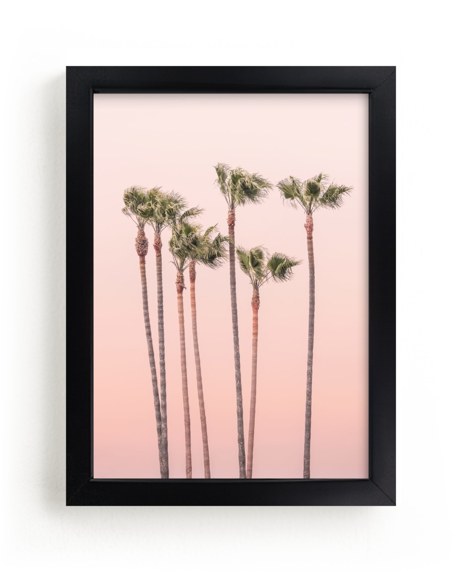 Seven Palmtrees Open Edition Fine Art Print - Image 0