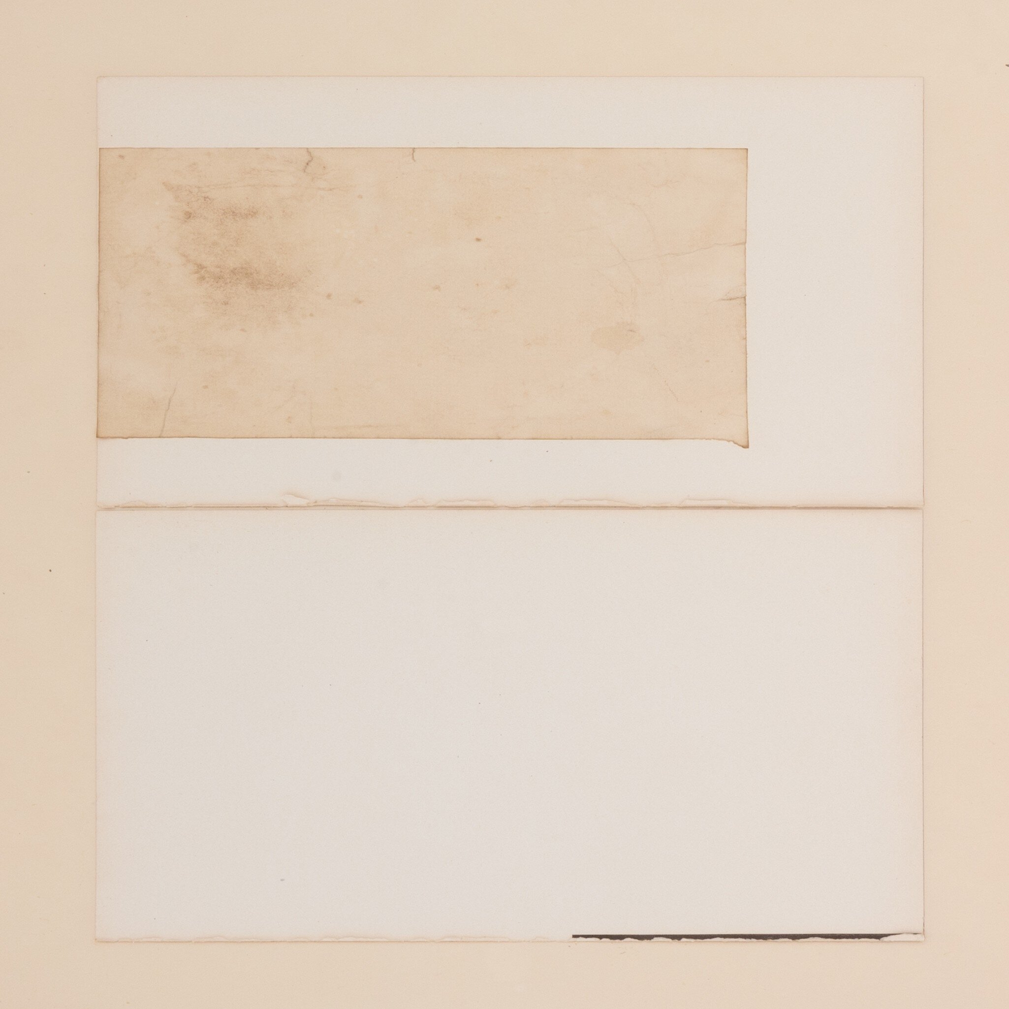 Limerence by Amy Berlin - Vertical Grain 2.5 White Oak - Image 3