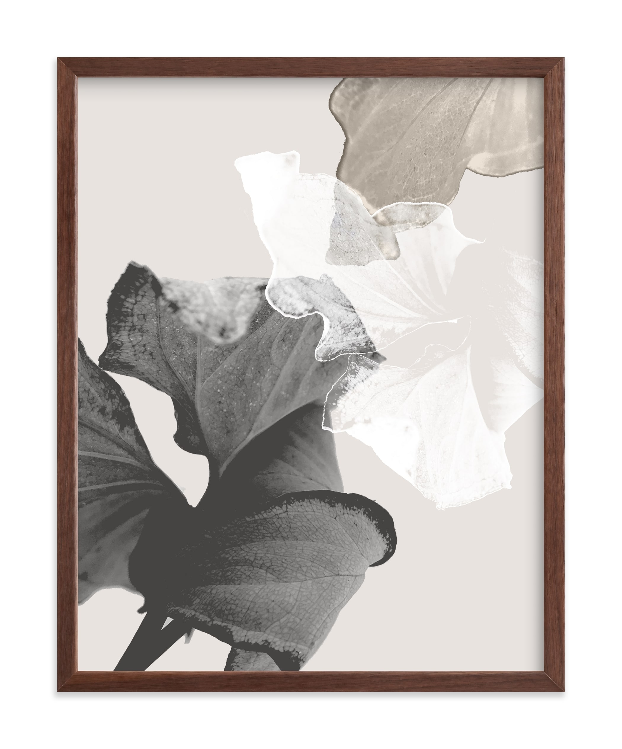 Refractions Limited Edition Fine Art Print 1 - Image 0