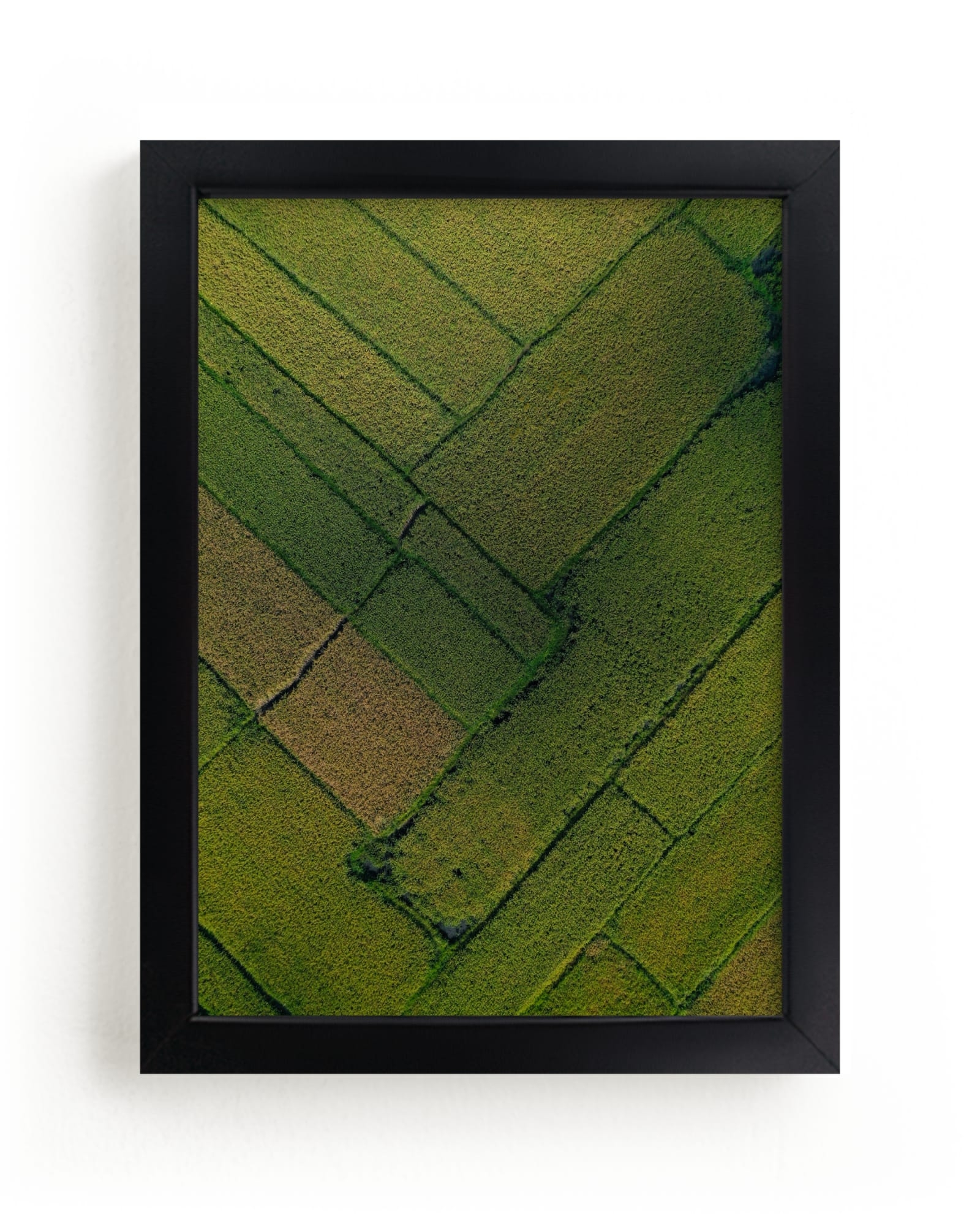 Above The Paddy Limited Edition Fine Art Print 2 - Image 0