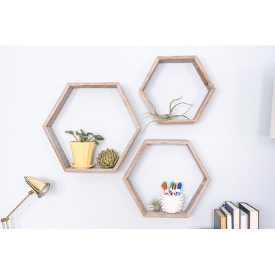 Mont 3 Piece Hexagon Floating Shelf with Reclaimed Wood - Image 0