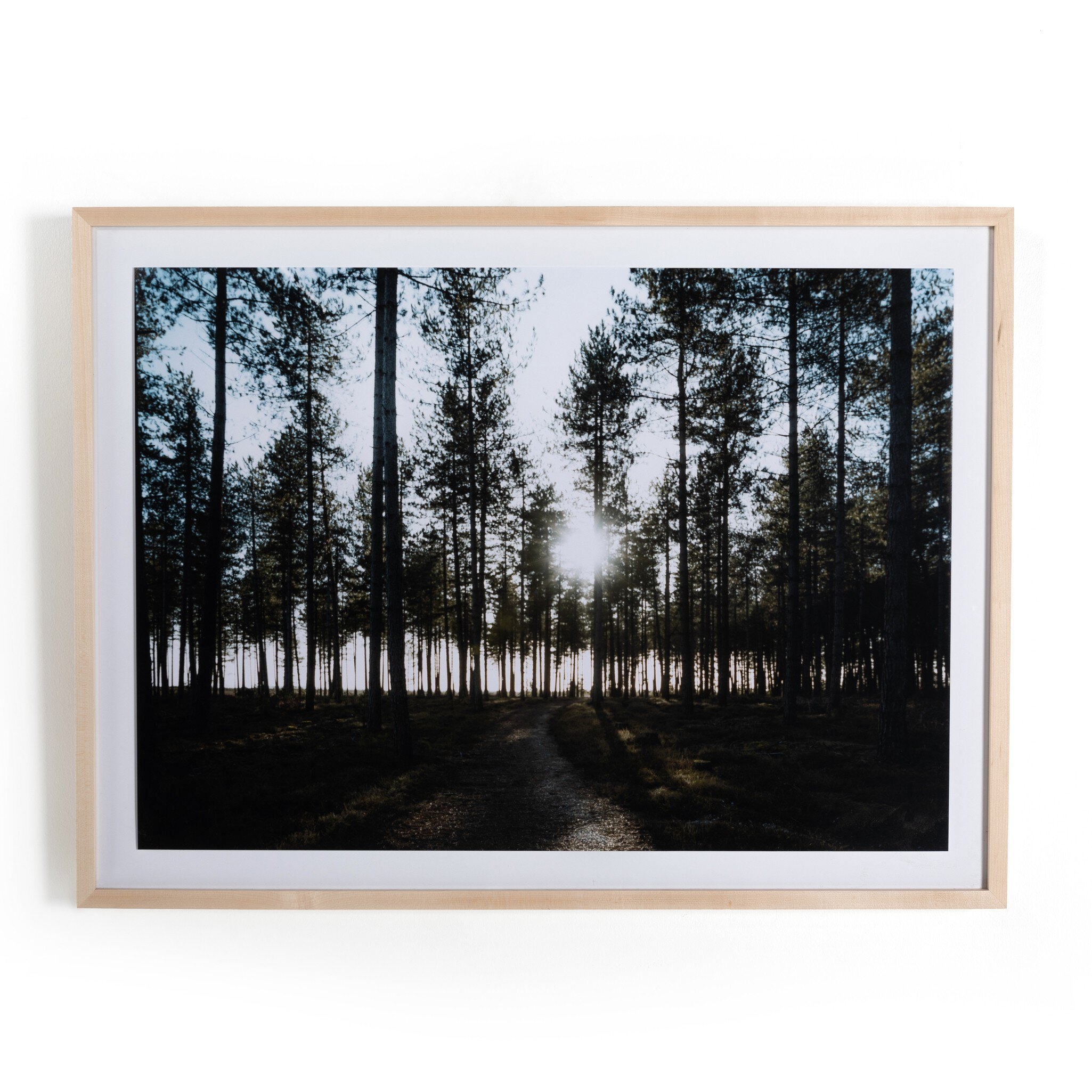 Dibden Enclosure by Annie Spratt - Image 0