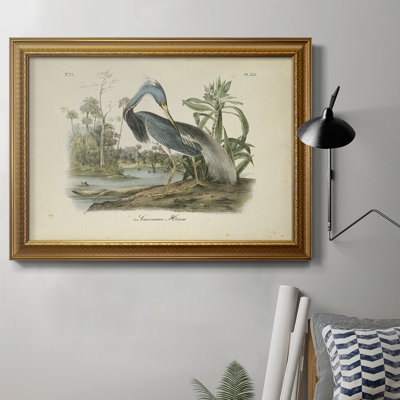 Audubons Louisiana Heron - Picture Frame Painting on Canvas - Image 0