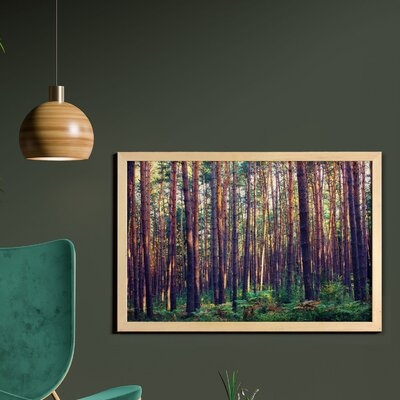 Ambesonne Forest Wall Art With Frame, Forest In The Morning Tall Trees Trunks Greenery Natural Environment Picture Print, Printed Fabric Poster For Bathroom Living Room Dorms, 35" X 23", Green Brown - Image 0