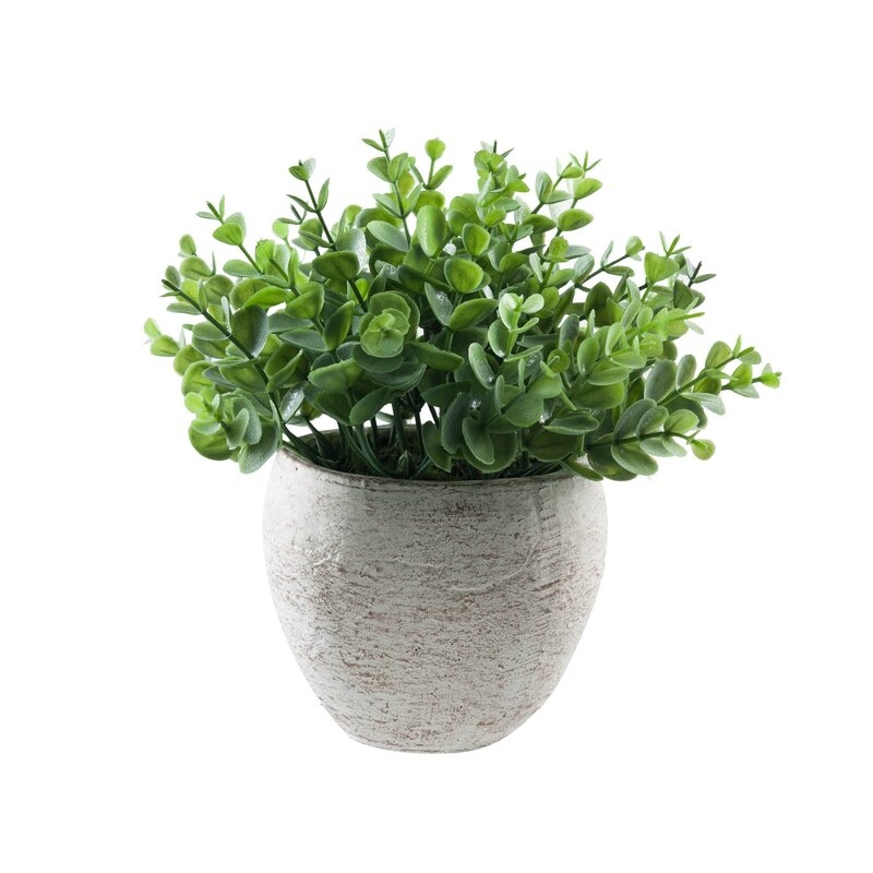 Faux Succulent Plant in Pot - Image 0