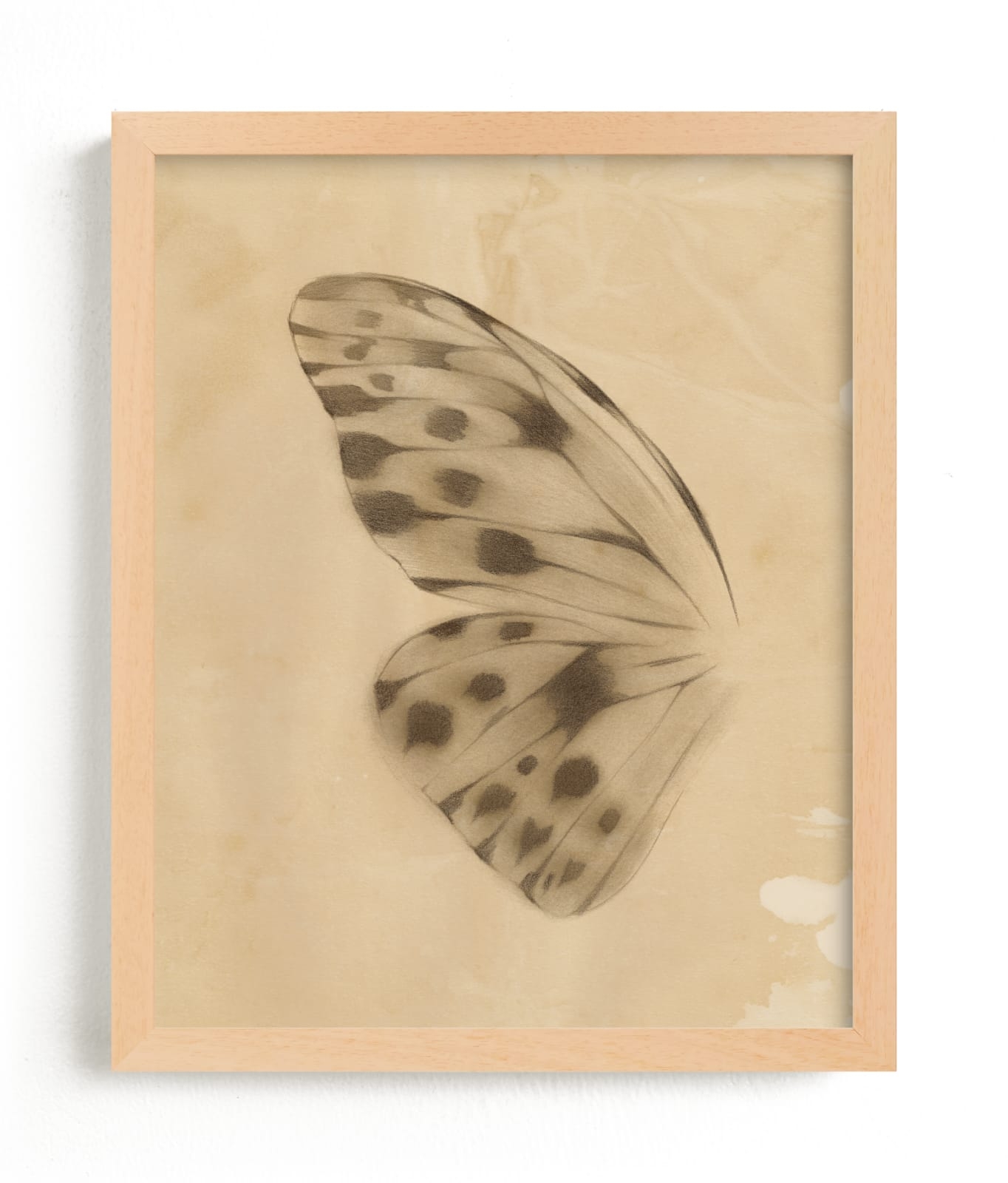 Vintage Mariposa I Limited Edition Fine Art Print 2 - Image 0