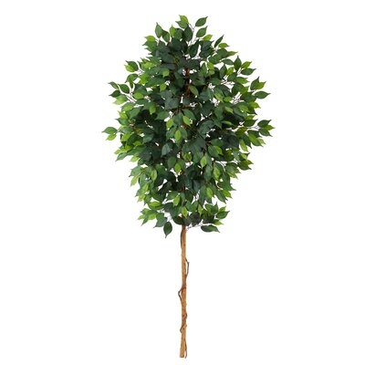 6Ft. Ficus Artificial Tree (No Pot) - Image 0