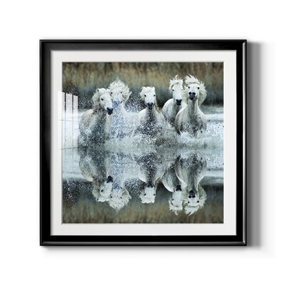 Camargue Reflection-Premium Framed Print - Ready To Hang - Image 0