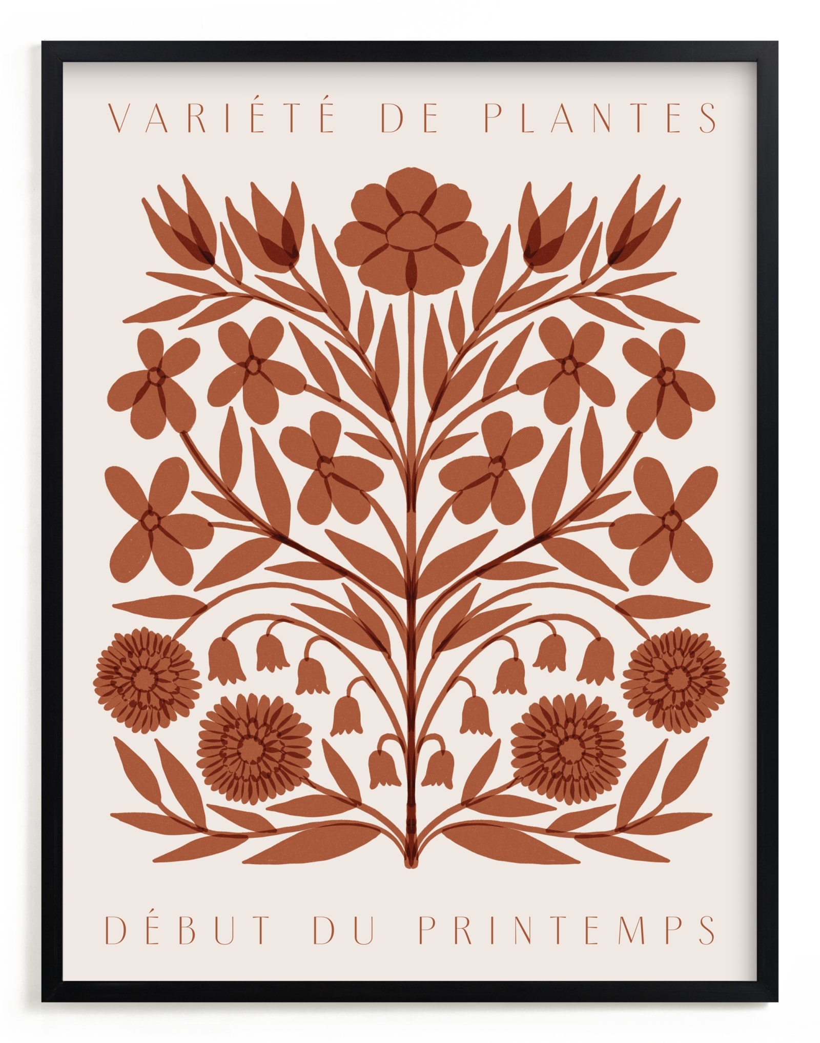 Les Plantes I Open Edition Fine Art Print - Image 0