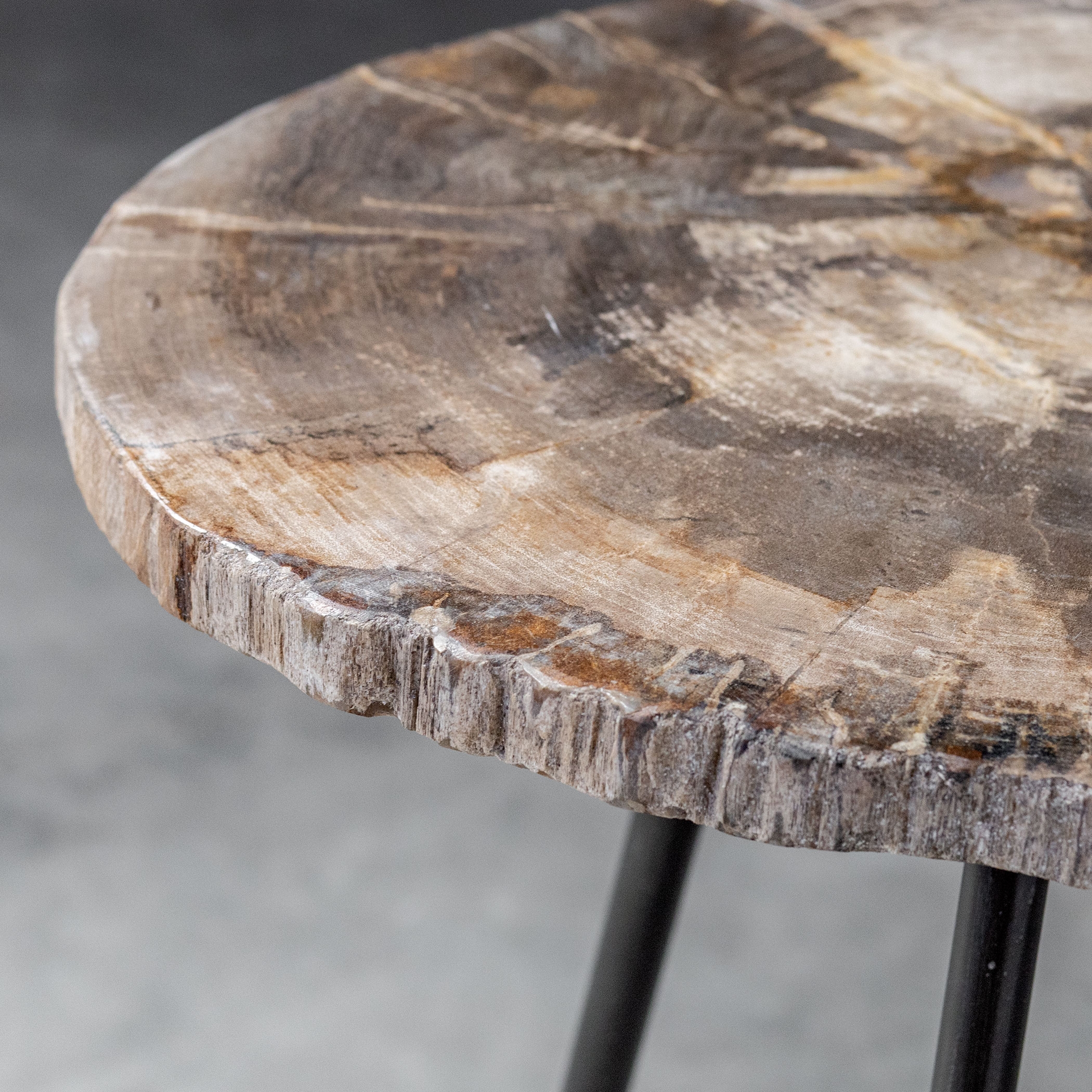 Mircea Petrified Wood Accent Table - Image 1