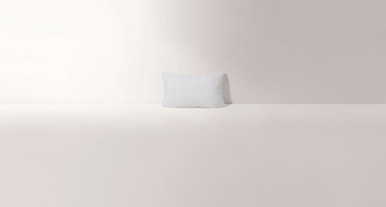 Burrow Lumbar Insert - Image 0