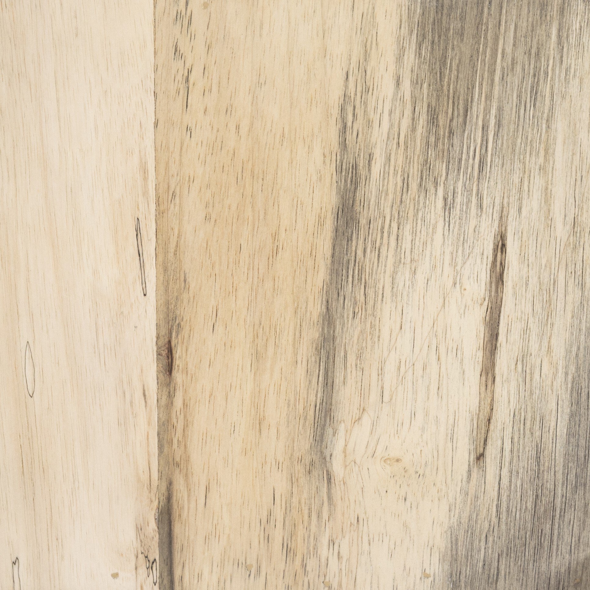 Zora Coffee Table - Whitewashed Spalted Primavera - Image 5